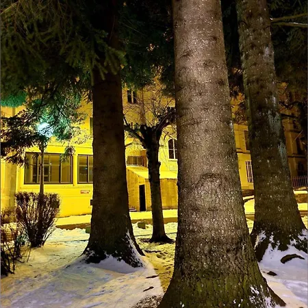 Les Sapins Dore * Mont-Dore